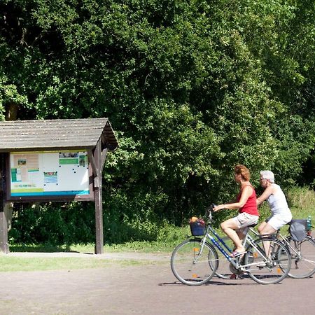 إيجموند-بينن Appartementen - Bungalowpark Mooyeveld - Uniek Gelegen In De Duinen! المظهر الخارجي الصورة