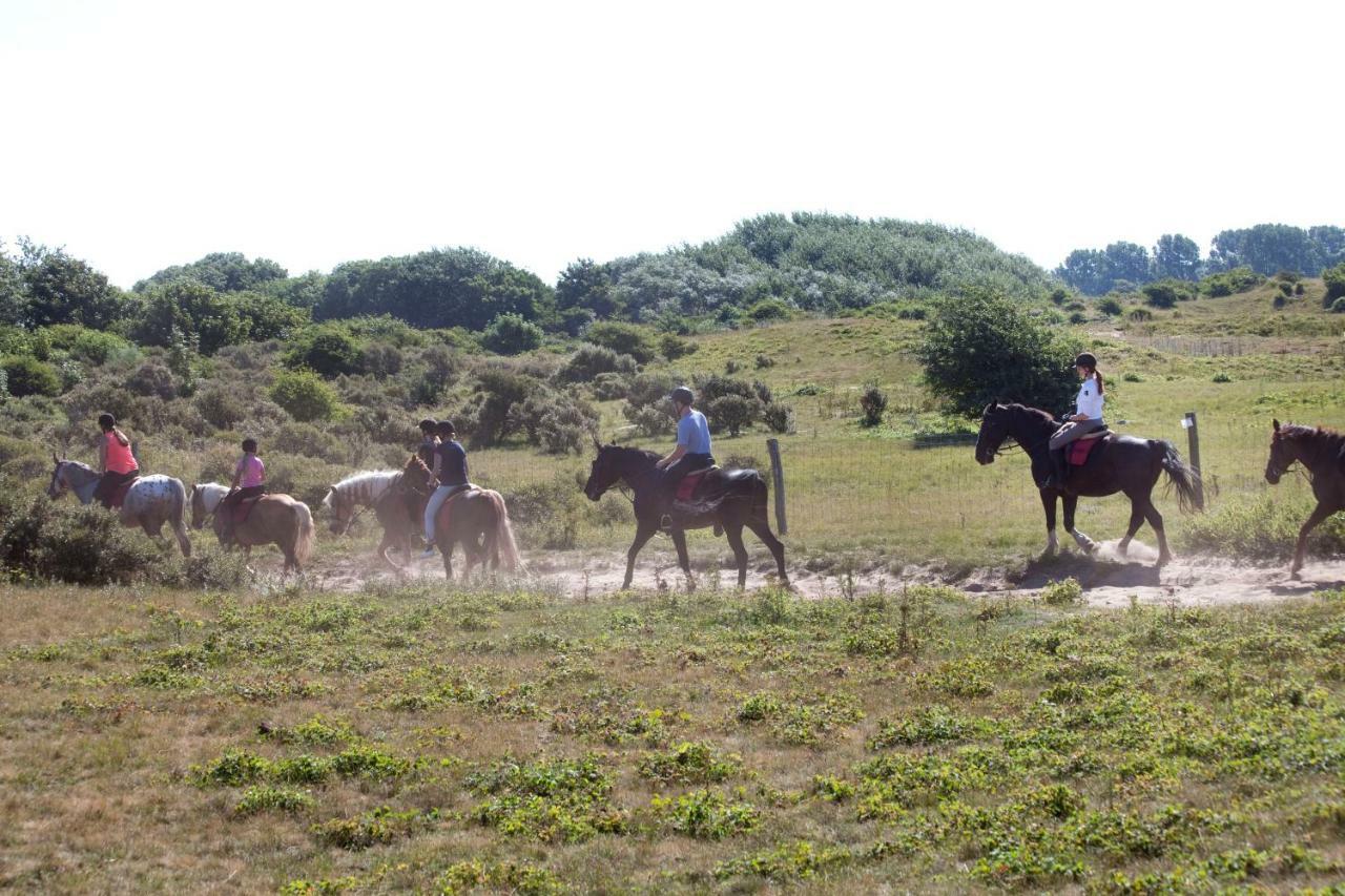 إيجموند-بينن Appartementen - Bungalowpark Mooyeveld - Uniek Gelegen In De Duinen! المظهر الخارجي الصورة