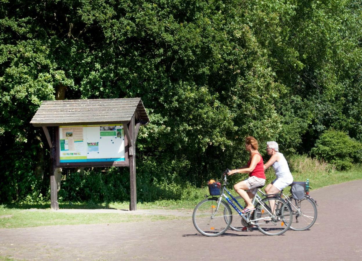 إيجموند-بينن Appartementen - Bungalowpark Mooyeveld - Uniek Gelegen In De Duinen! المظهر الخارجي الصورة